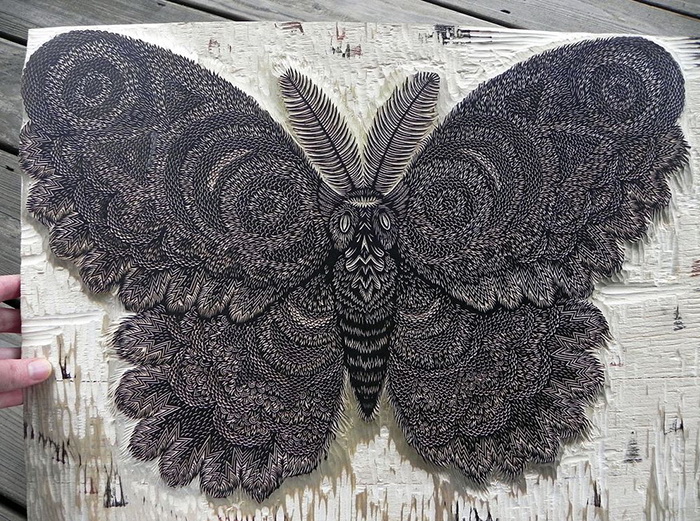 Современная ксилография от арт-студии Tugboat Printshop