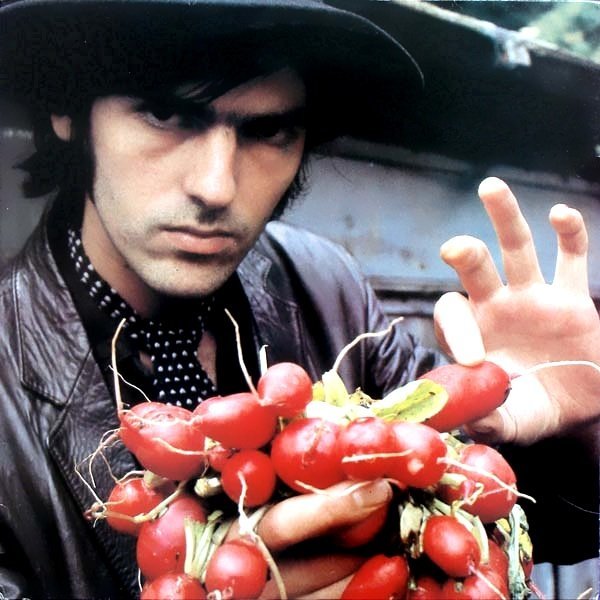 Robyn Hitchcock - 1974